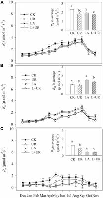 Effect of lime application on soil respiration is modulated by understory vegetation in subtropical Eucalyptus L’Hér. plantations